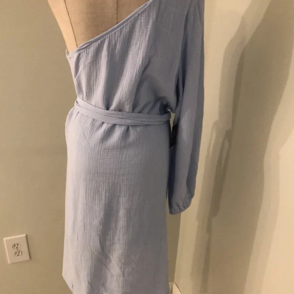 Express one shoulder dress